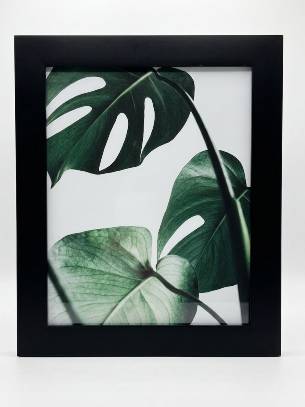 Threshold Black Gallery Frame & Custom Giclee Monstera Print